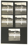 34 Images of Ted Williams Swinging on Four 1950's Medium Format Film Proof Sheets from Noted Baseball Photographer George Woodruff