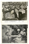 Collection of 27 News Service and Studio-Issued Photographs of Marilyn Monroe from <em>The Seven Year Itch</em>, <em>Bus Stop</em>, <em>How to Marry a Millionaire</em> and other Films