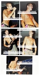 Collection of 68 35MM 1990's Concert Photos Including Prince, Nirvana, Courtney Love, Led Zeppelin, Smashing Pumpkins and Others