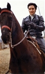 Elvis Presley's Saddle Used at Graceland and His “Circle G” Ranch – Made by Mike McGregor - with Graceland Authenticated LOA