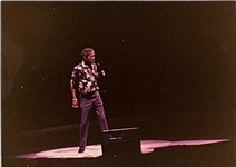 Frank Sinatra Collection with Stage-Used Handkerchief, 1989 Ticket Stubs and Over 100 35 MM Negatives and Prints from Several 1980's Concerts