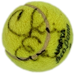 Signed Tennis Ball Collection of 10 Including Pete Sampras, Chris Evert and Tracy Austin (BAS)
