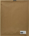 RIAA Gold Record Award for Prince 1982 LP <em>1999</em> - Certified in 1983