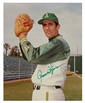 Baseball Hall of Famers and Superstars Signed Collection (17) Including Reggie Jackson and Catfish Hunter (BAS)