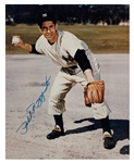 Baseball Hall of Famers and Superstars Signed Collection (17) Including Reggie Jackson and Catfish Hunter (BAS)