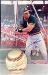 “Bash Brothers” Signed Collection of 4 Pieces - Baseball and 8 x 10 Signed by both McGwire and Canseco (BAS)