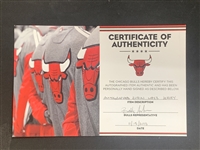 Robin Lopez Signed Chicago Bulls Jersey – with Bulls Team COA – In Beautiful Framed Display (BAS)