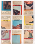 1966 Topps <em>Rat Patrol</em> Complete Set (66) – High Grade!