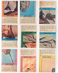1966 Topps <em>Rat Patrol</em> Complete Set (66) – High Grade!