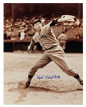 Hoard of 71 “Rapid” Robert Feller Signed 11 x 14 and 8 x 10 Photos – Incredible Break Value! (BAS)