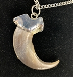 Incredible Elvis Presley Owned “E.P.” Monogrammed GRIZZLY BEAR CLAW Necklace