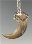 Incredible Elvis Presley Owned “E.P.” Monogrammed GRIZZLY BEAR CLAW Necklace