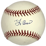 Baseball Hall of Famers Single Signed Baseball Collection of 17 Incl. Frank Robinson, Brock, Banks, Berra and Others (BAS/JSA)