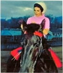Elvis Presley Owned and Used Midnight Red Horse Blanket