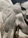 Debra Paget Signed Photo Inscirbed to Trude Forsher – Elvis Presley's <em>Love Me Tender</em> Co-Star and Response Letter from Forsher (2)