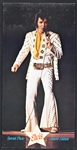 Collection of 11 Elvis Presley Concert Photo Albums