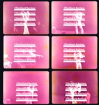1977 Group of Eight Original Photographs from Elvis Presley Concert on April 24, 1977, in Ann Arbor, Michigan Plus Ticket Stub 
