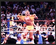 Collection of Nine Wrestling Superstars Signed 8x10s Incl. Hulk Hogan (9) (BAS)