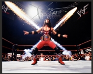 Collection of Nine Wrestling Superstars Signed 8x10s Incl. Hulk Hogan (9) (BAS)