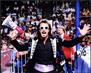 Collection of Nine Wrestling Superstars Signed 8x10s Incl. Hulk Hogan (9) (BAS)