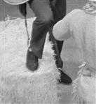 1956 Elvis Presley Owned and Worn Blue Suede Shoes -  Worn on the Infamous 1956 <em>Steve Allen Show</em> Appearance - Gifted to Memphis Mafia Member Alan Fortas