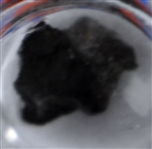 Titanic Coal Paperweight