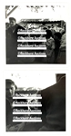 1956 Elvis Presley Group of Seven Photographs with Barbara Hearn, Returning from Hollywood and with his Messerschmitt!!