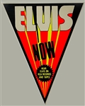 1970s Elvis Presley Large Triangluar Concert Banner - Neon Orange Variation