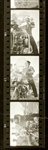 1956 Elvis Presley Alfred Wertheimer Contact Sheet with 16 Images From July 4, 1956, in Memphis on His Harley Signing Autographs