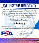 Pete Townshend Signed Cut Signature in Display with 8x10 Photo (PSA/DNA)
